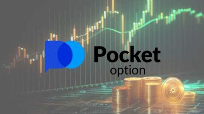 Where is Pocket Option Located
